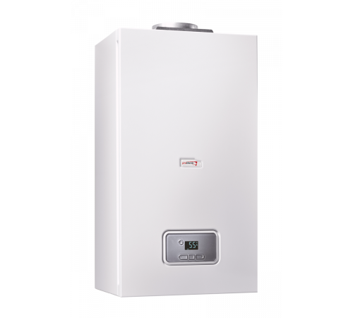 Котел газовый Protherm Гепард 12 MTV, 0010015237