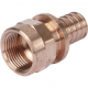Переходник с внутренней резьбой Rehau Rautitan 25-Rp 3/4 RX+, 14563311001